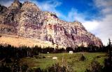 Glacier. Montana