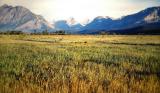 Glacier. Montana