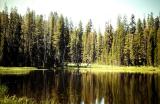 Yellowstone. Wyoming