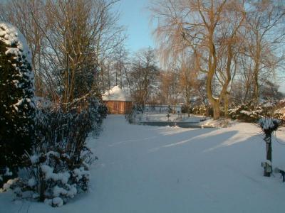 wintergarden2