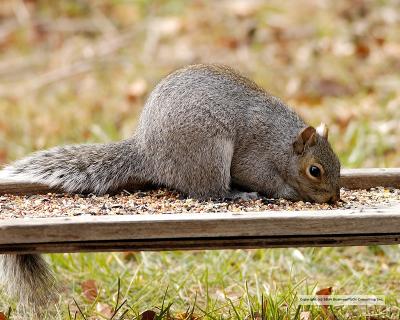 DSC_0209.jpg