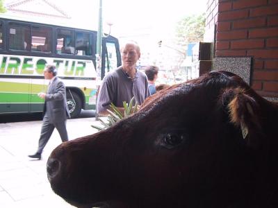 Bill with cow