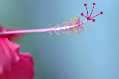DSC_2098FxSh2_Sm.jpg