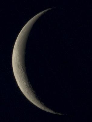 26d 08h