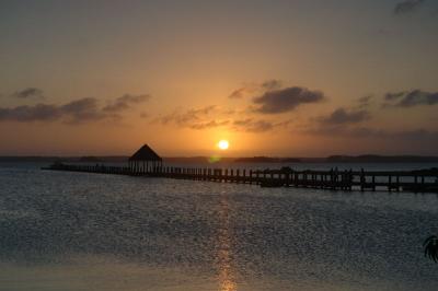 ocgs_3715.jpg