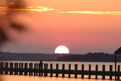 ocgs_3423.jpg