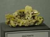 Wulfenite Lead Molybdate