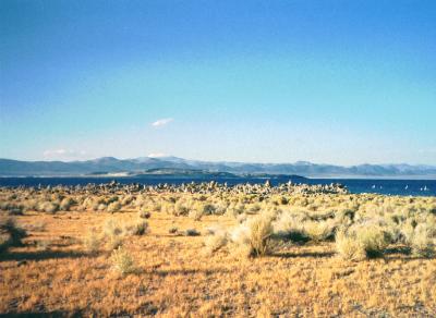 Mono Lake