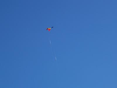 go fly a kite.JPG