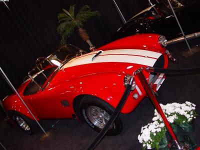 The original Shelby... a balls to the wall sports car!