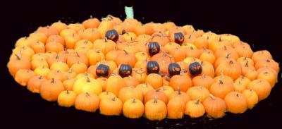 The Great Pumpkin.JPG