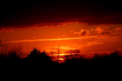 sunset7_March_18_2005.jpg