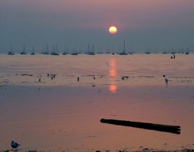 Poole Harbour at Sunset
