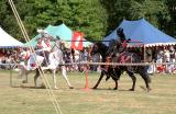 jousting..