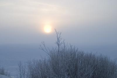 Foggy sunrise