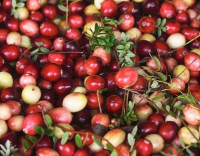 Winter Cranberries