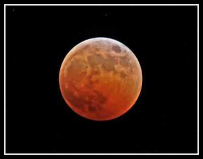 The moon in eclipse as seen from Florida....