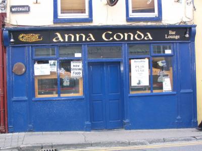 Anna Conda, Kilkenny