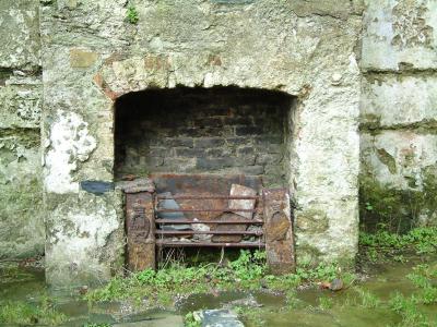 Charles  Fort Fireplace
