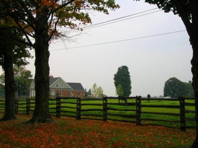 Autumn leaves with farmhouse