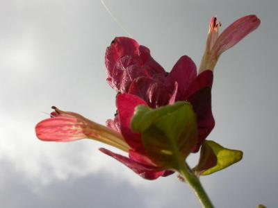 DSCN8483