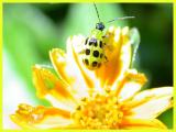 DSCN0368