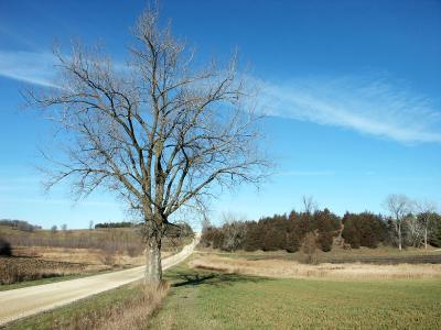 denmark_township