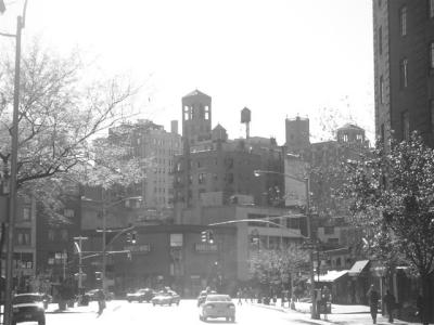 u49/philaquino/medium/36151710.NYC20041105162.jpg