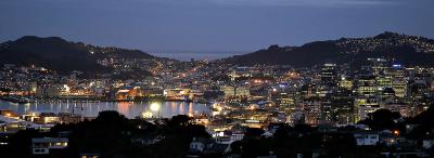 Wellington City at Twilight