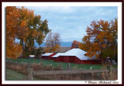 Typical Fall Morning in the Country - Oct 11