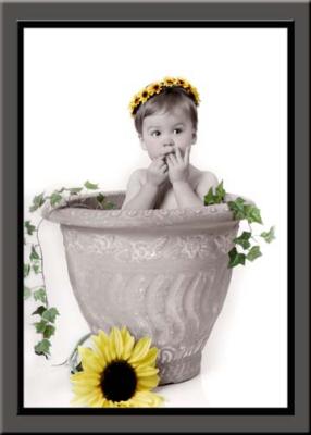u49/photosbyamy/medium/35052041.web34589.jpg