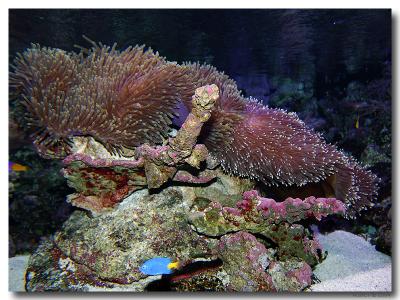 u49/pier/medium/36250827.pbase6.jpg