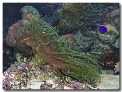 u49/pier/medium/36250828.pbase7.jpg