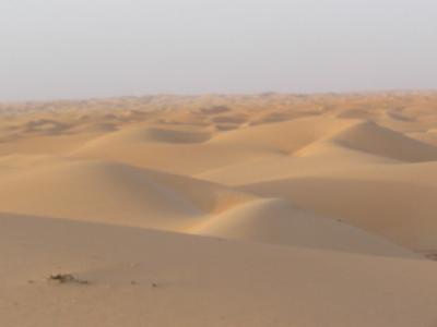 Dunes sea