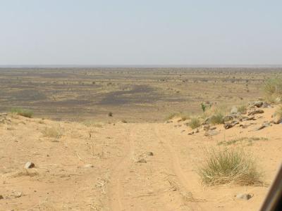 Landscape