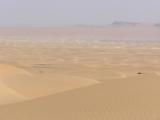 The dunes sea