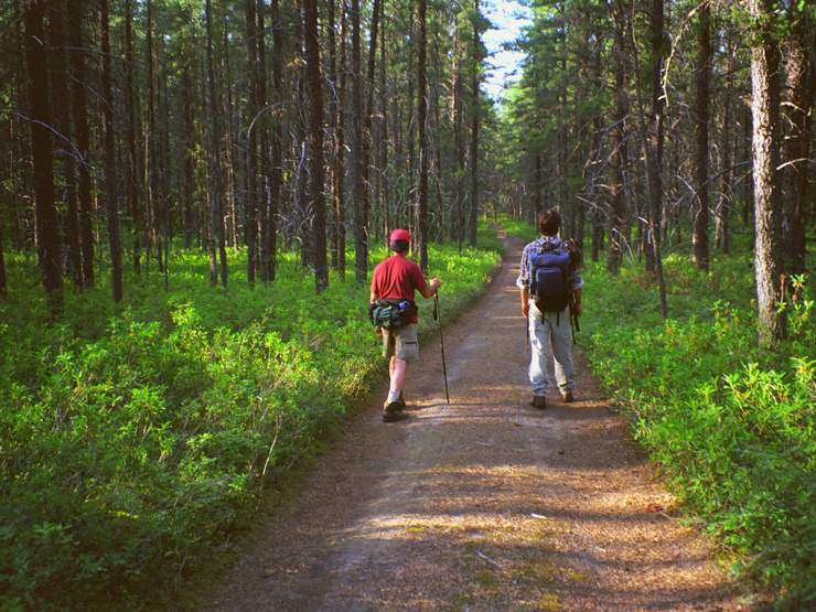 ESKER LAKES / ONTARIO