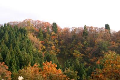 IMG_7639_s.jpg