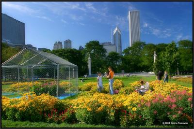 Grant Park II