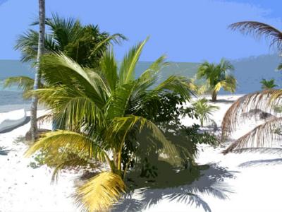 Franks Caye 12.jpg