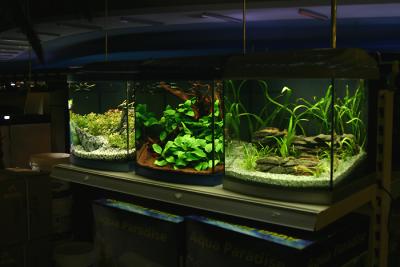 Nano Battery - 3 kind of Nano tanks