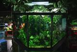 10th month after set up with new fish inside since 2 days
