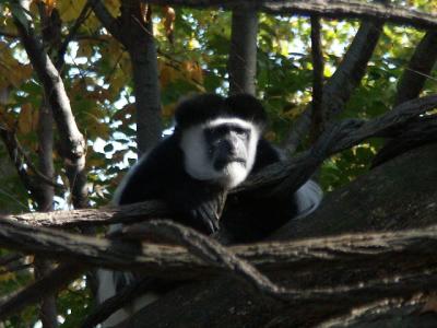 PICT4757.JPG