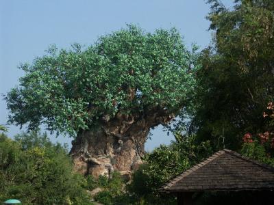PICT4248.JPG
