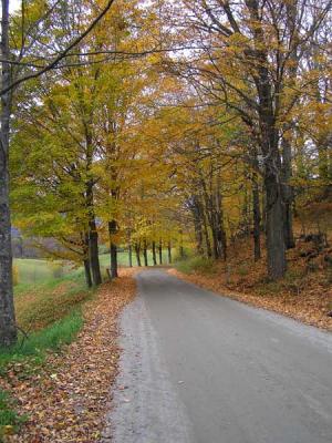 Vermont Country Road.jpg