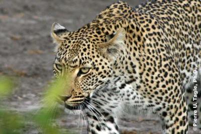 IMG_5417b2