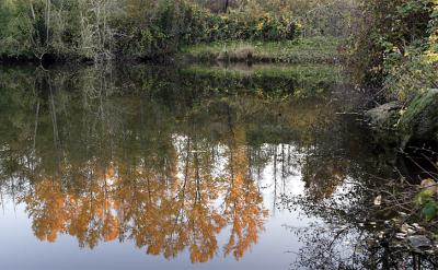 11-11-2004Sunset Pond Reflection