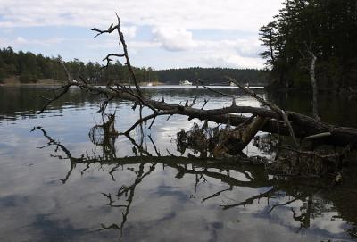 Stuart Island 3.jpg