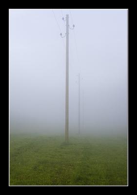 Fog_H0E3104.jpg