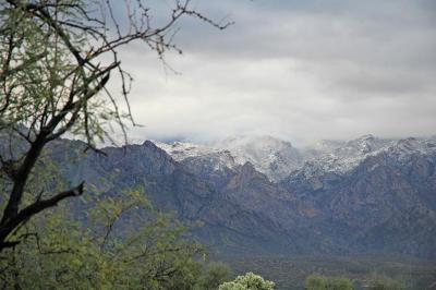 First snow on Catalina Mtns